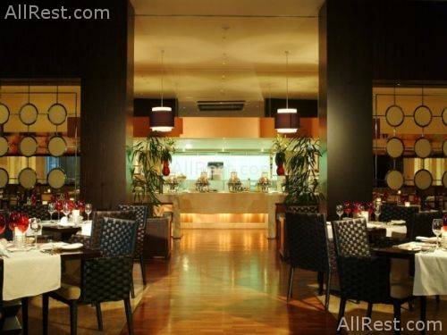 Novotel Hotel 7